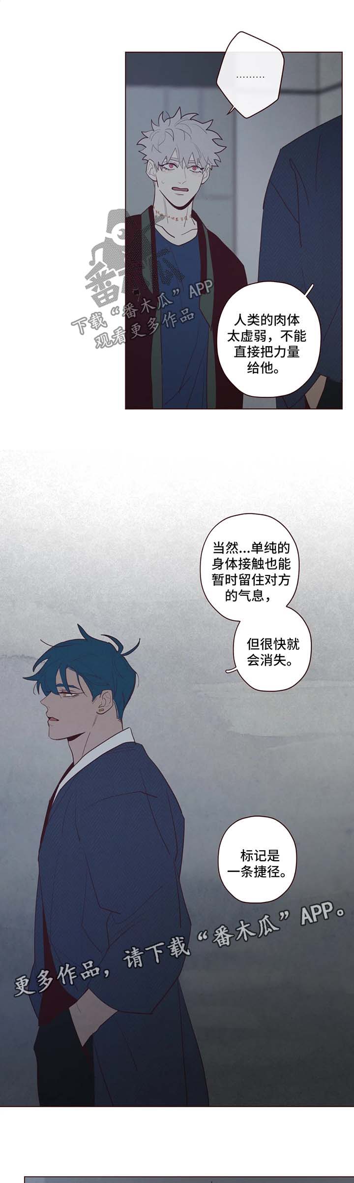 第66章：有话说7