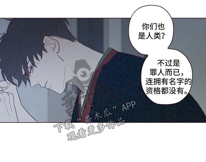 第65章：危险与安全1