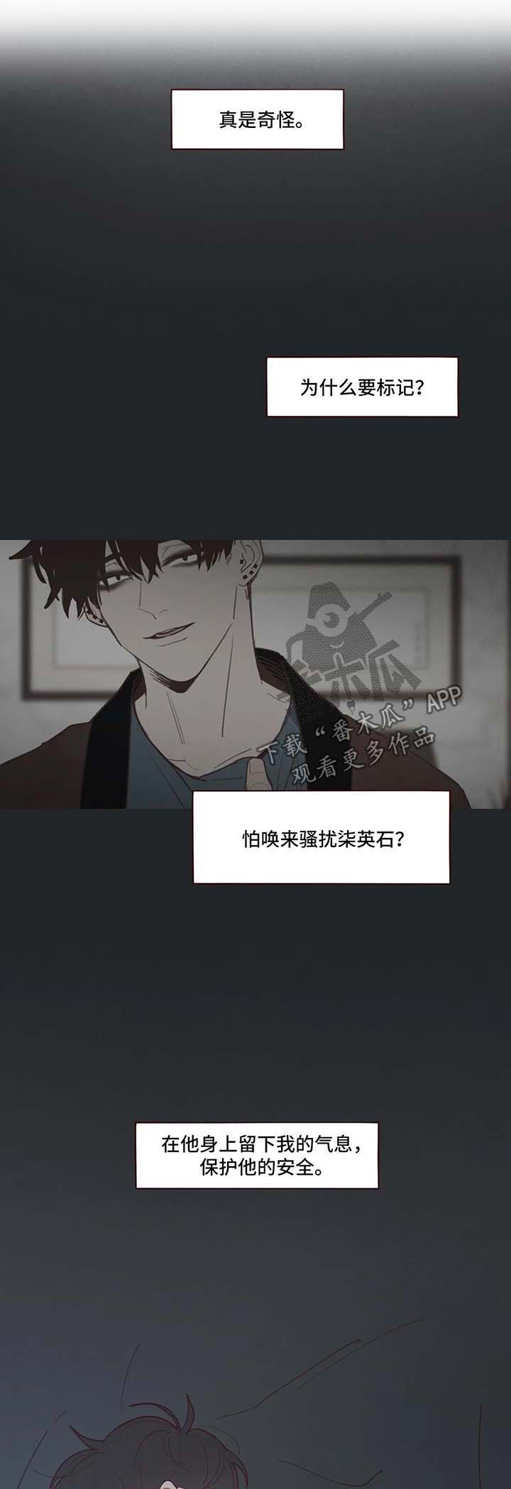 第65章：危险与安全4
