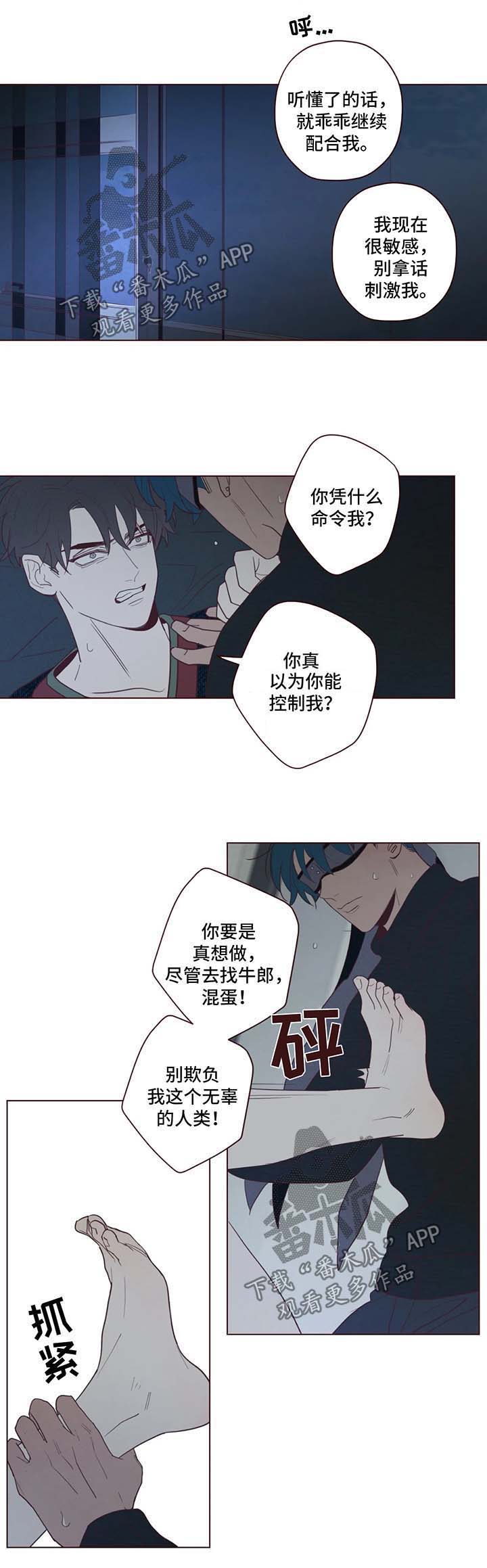 第64章：多管闲事4