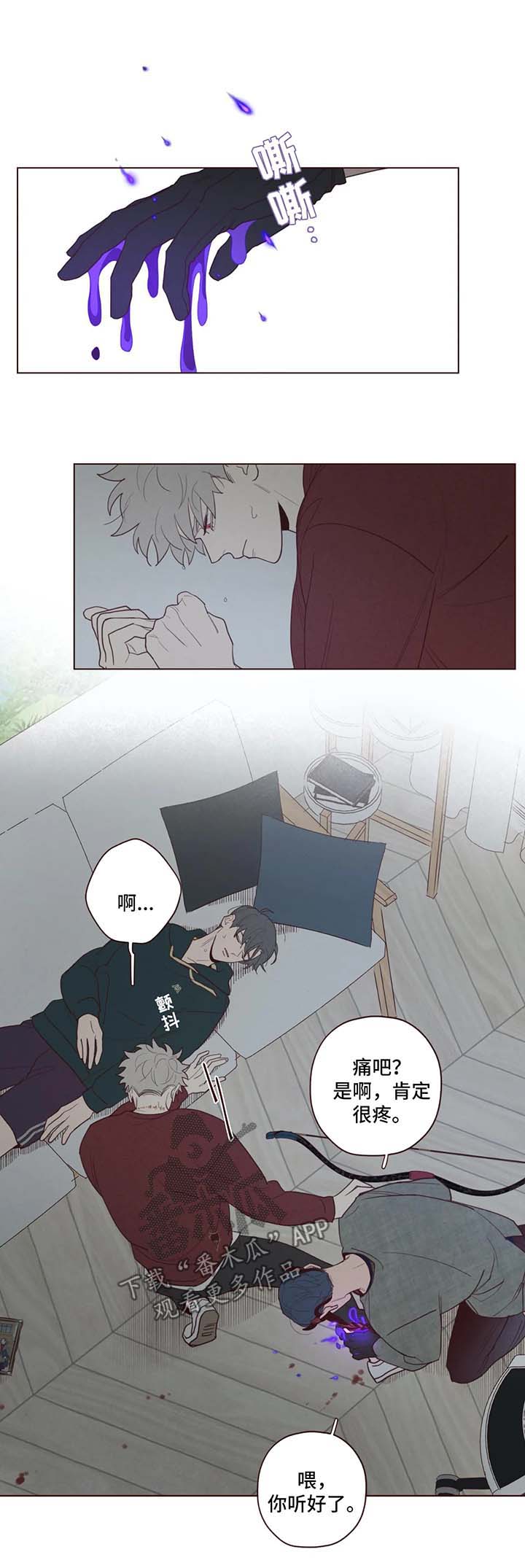 第48章：藏身之地4