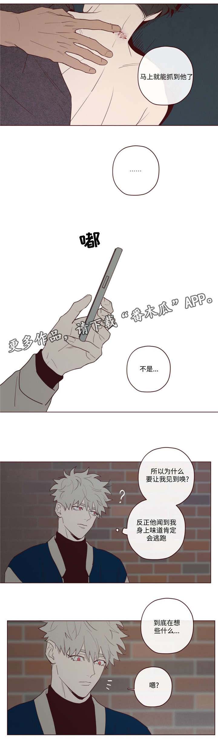 第30章：醉0