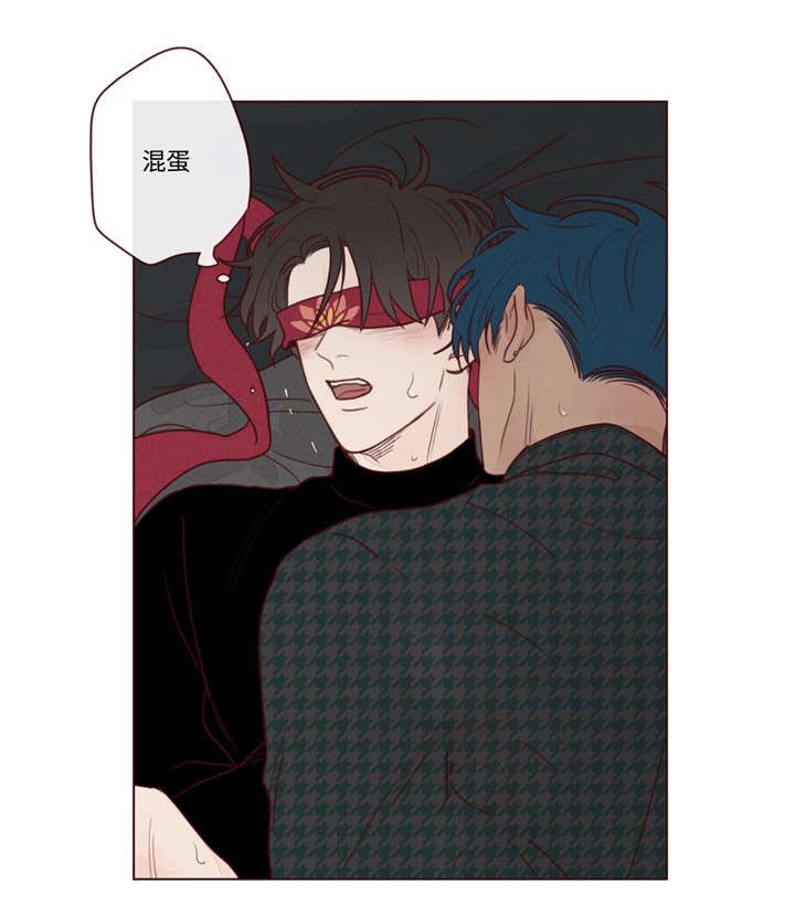 第17章：脸5