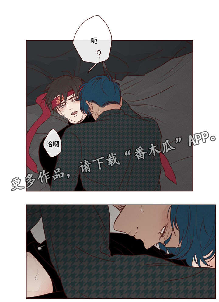 第17章：脸6