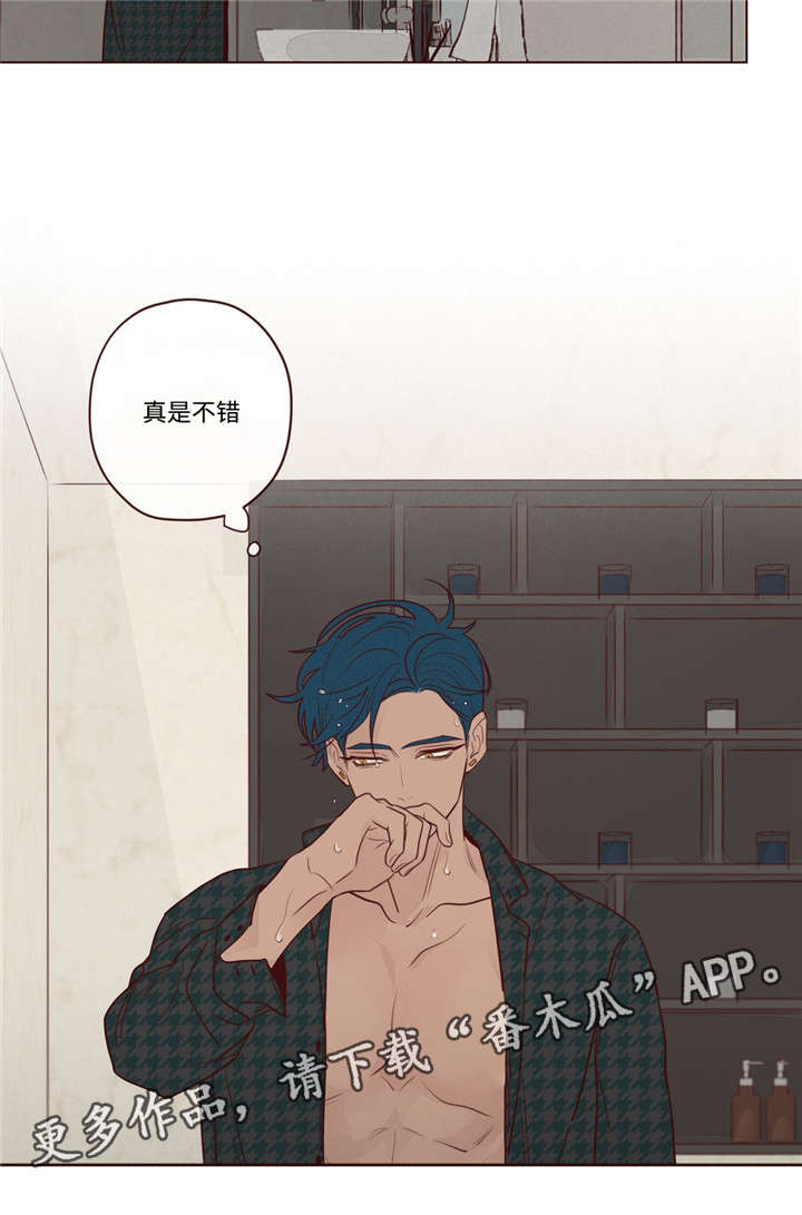 第17章：脸9
