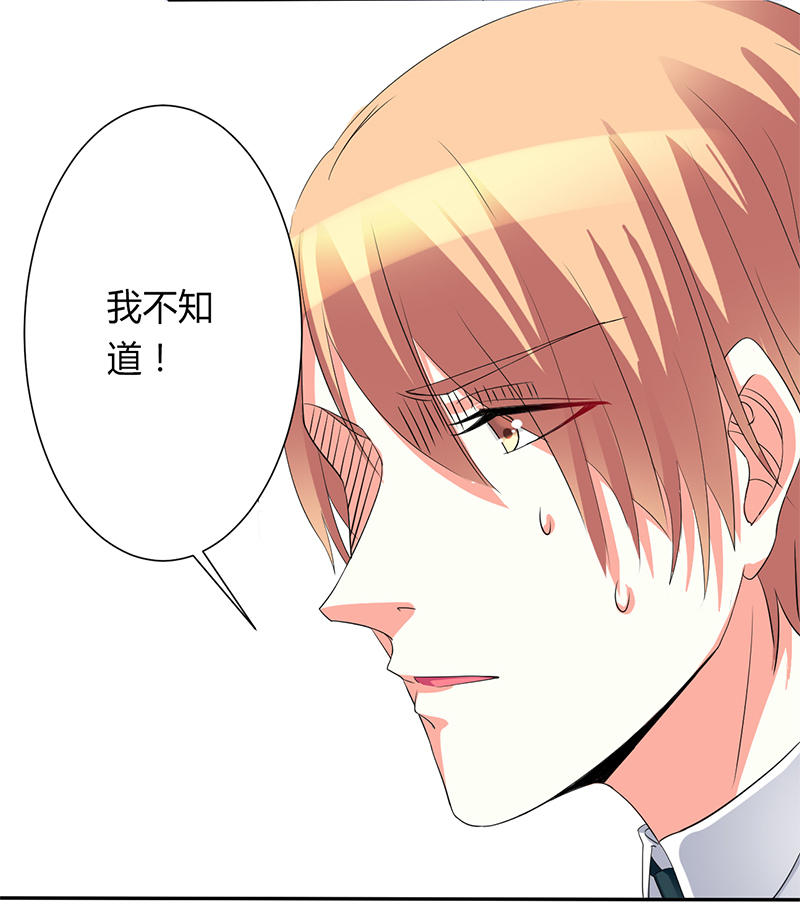 第92章：谁是莫小黛13