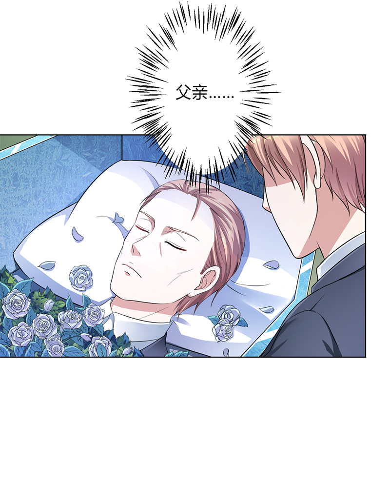 第120章：南宫家的千金7