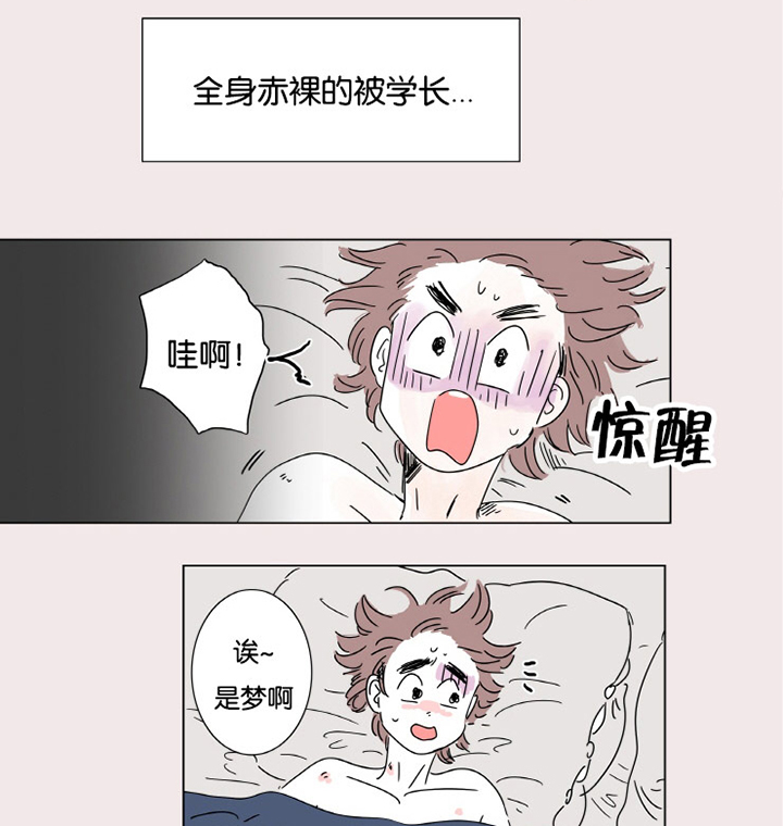 第3章：并不是梦14