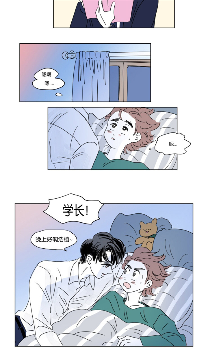 第16章：夜晚来访12