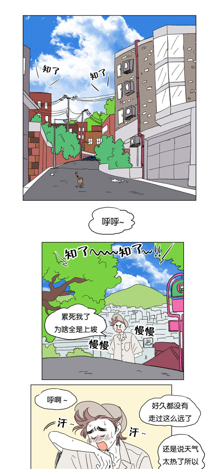 第28章：所不知道的事6