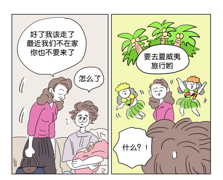 第40章：想法20