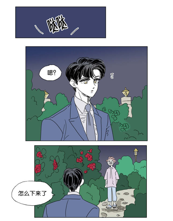 第41章：有话要说21