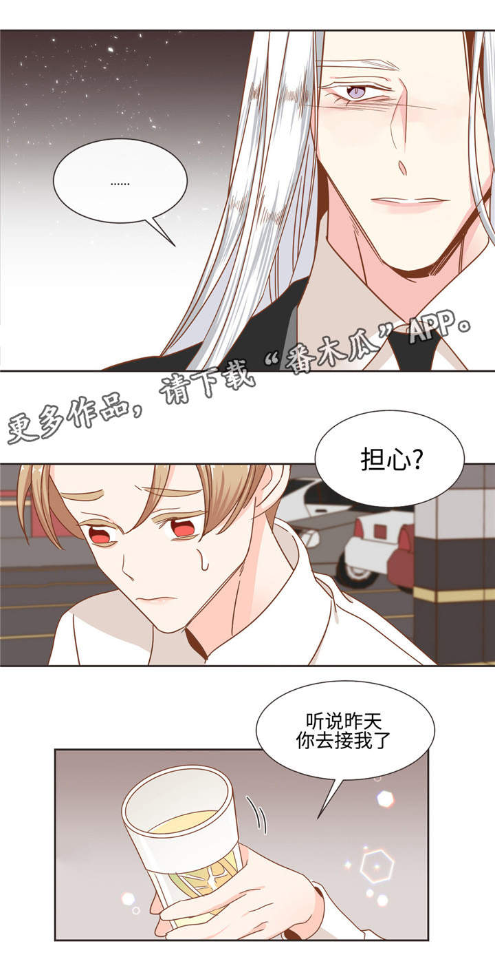 第54章：猫毛3