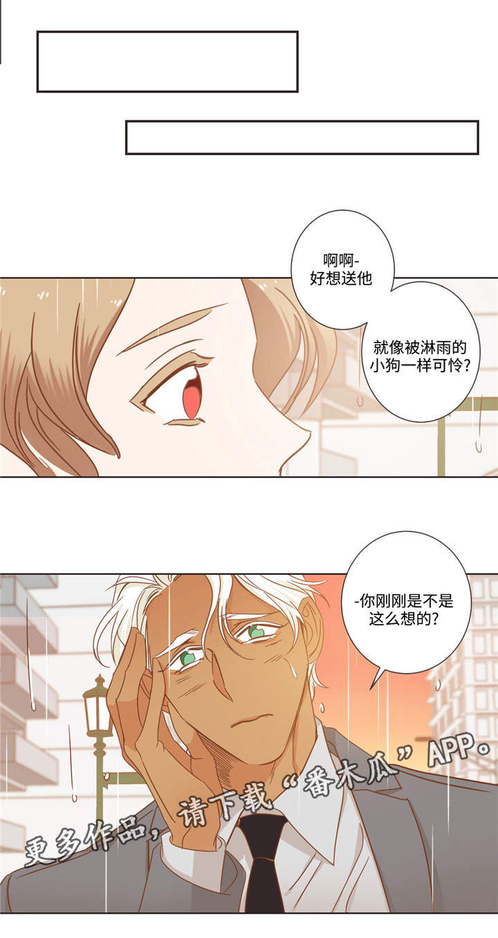 第64章：伤心了吗3