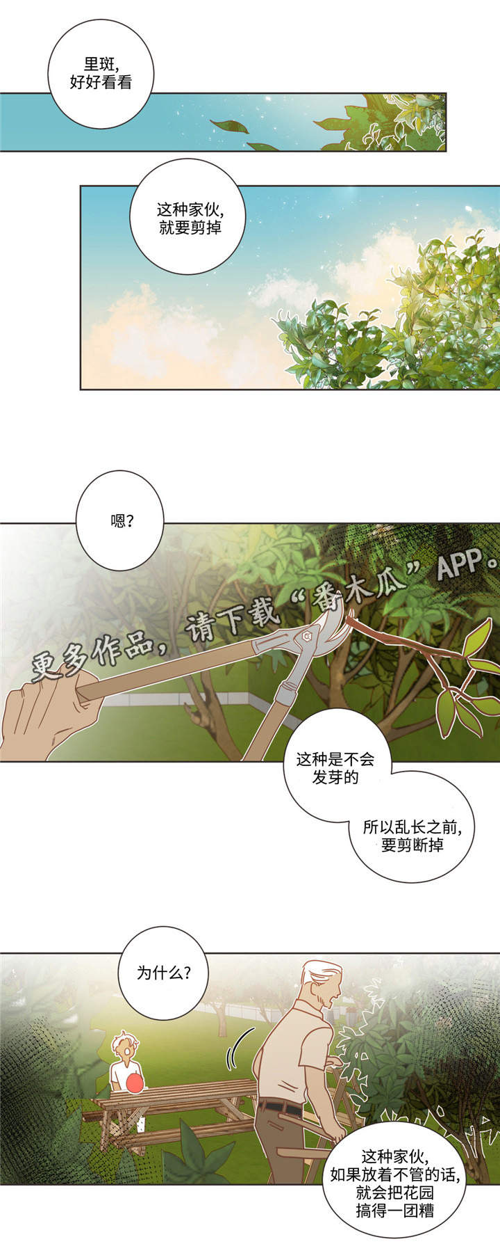 第68章：什么关系5