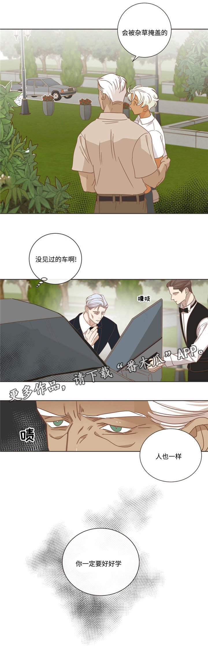 第68章：什么关系8