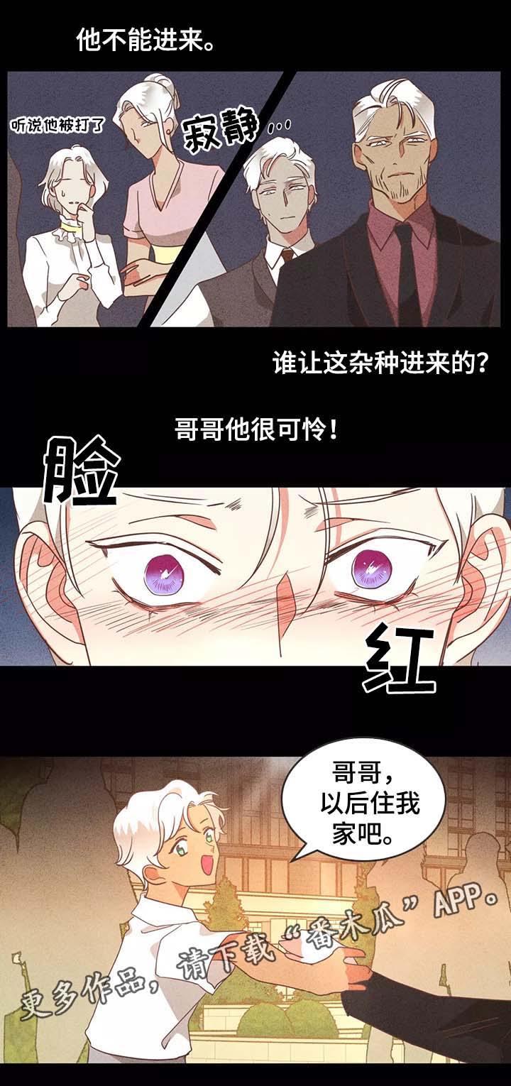 第95章：别再插手我的爱情0