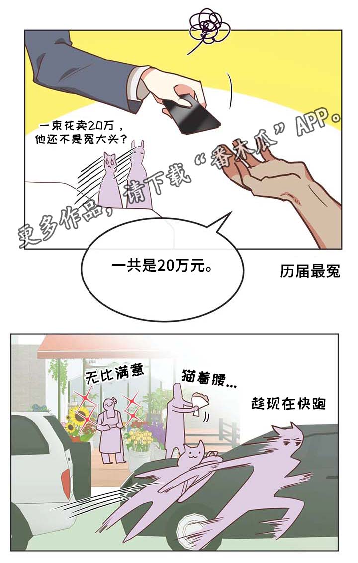 第104章：冤大头8