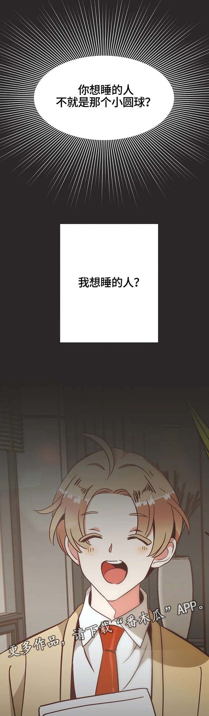 第119章：内部会议11