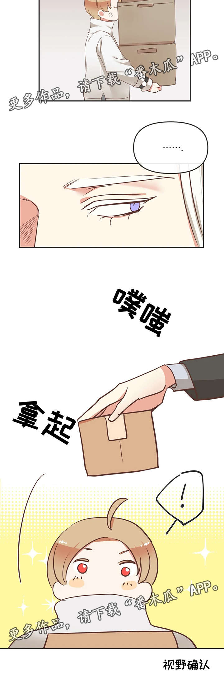 第119章：内部会议15
