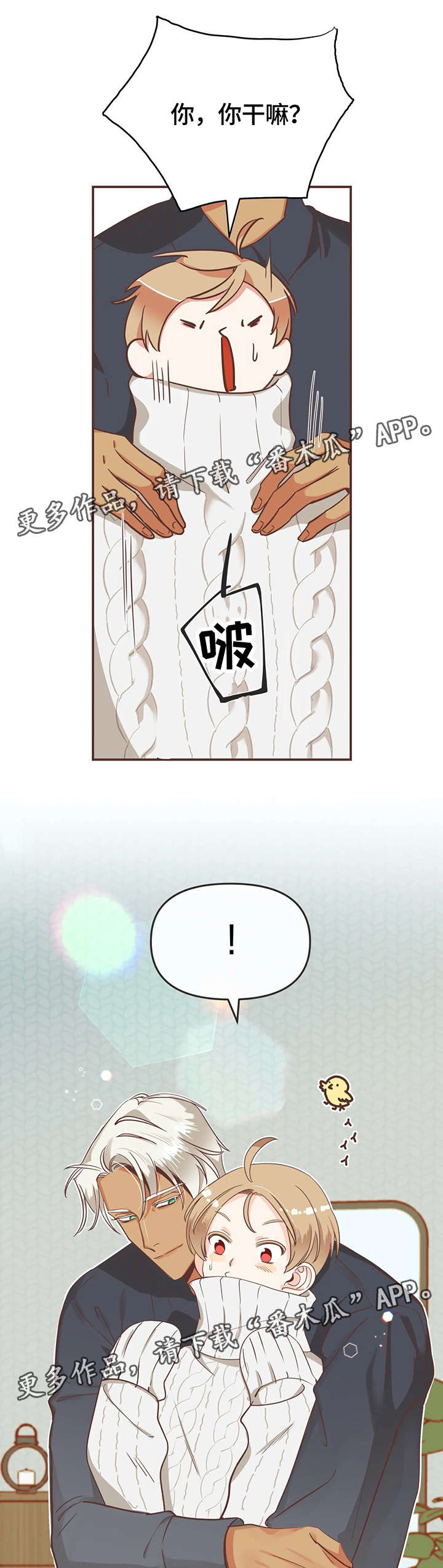 第119章：内部会议3