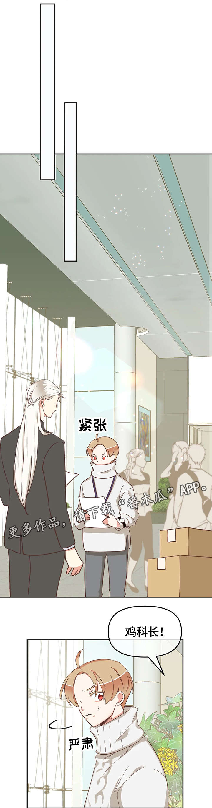 第119章：内部会议6