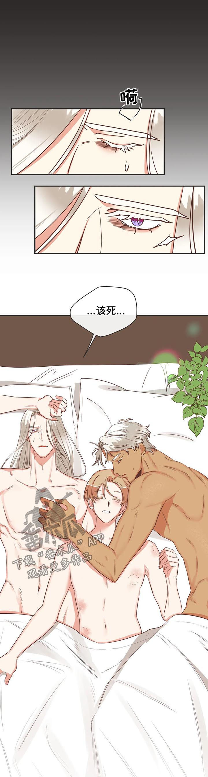第138章：梦15