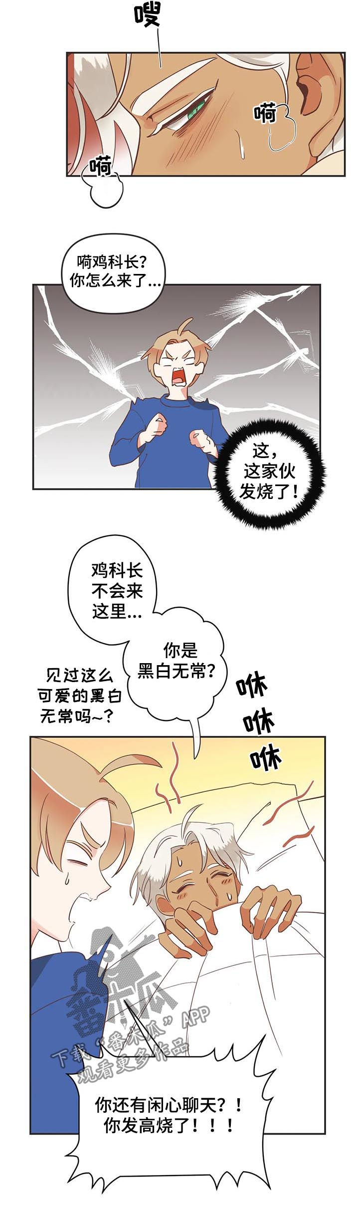 第141章：发烧7