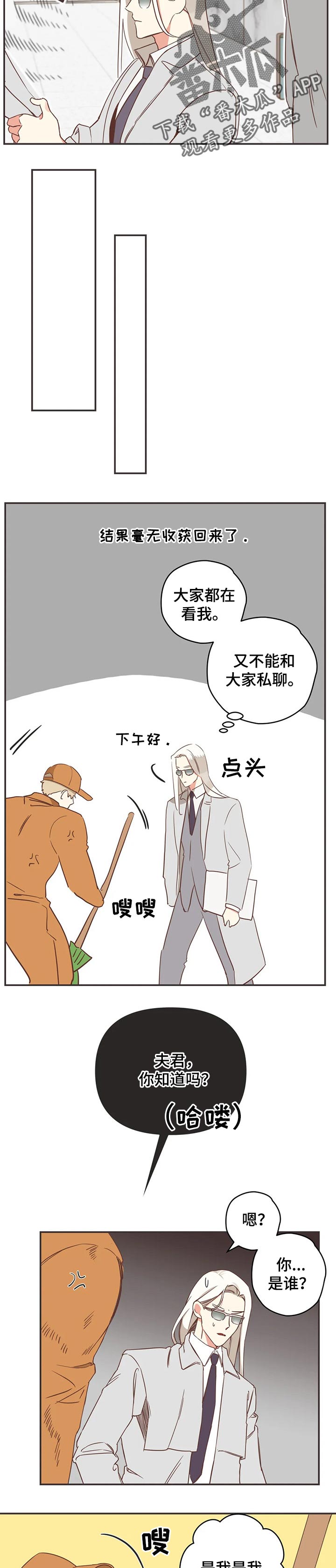 第155章：传闻3