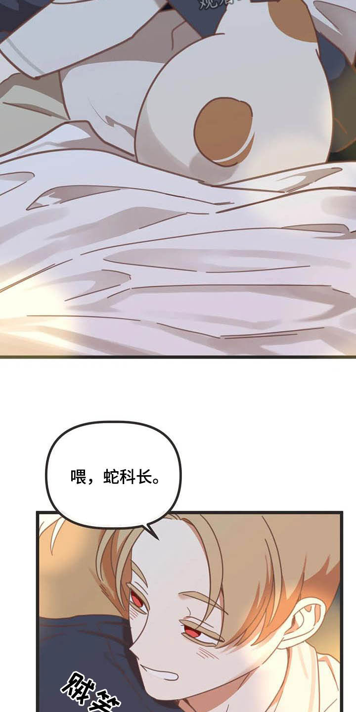 第180章：【番外】惊喜5