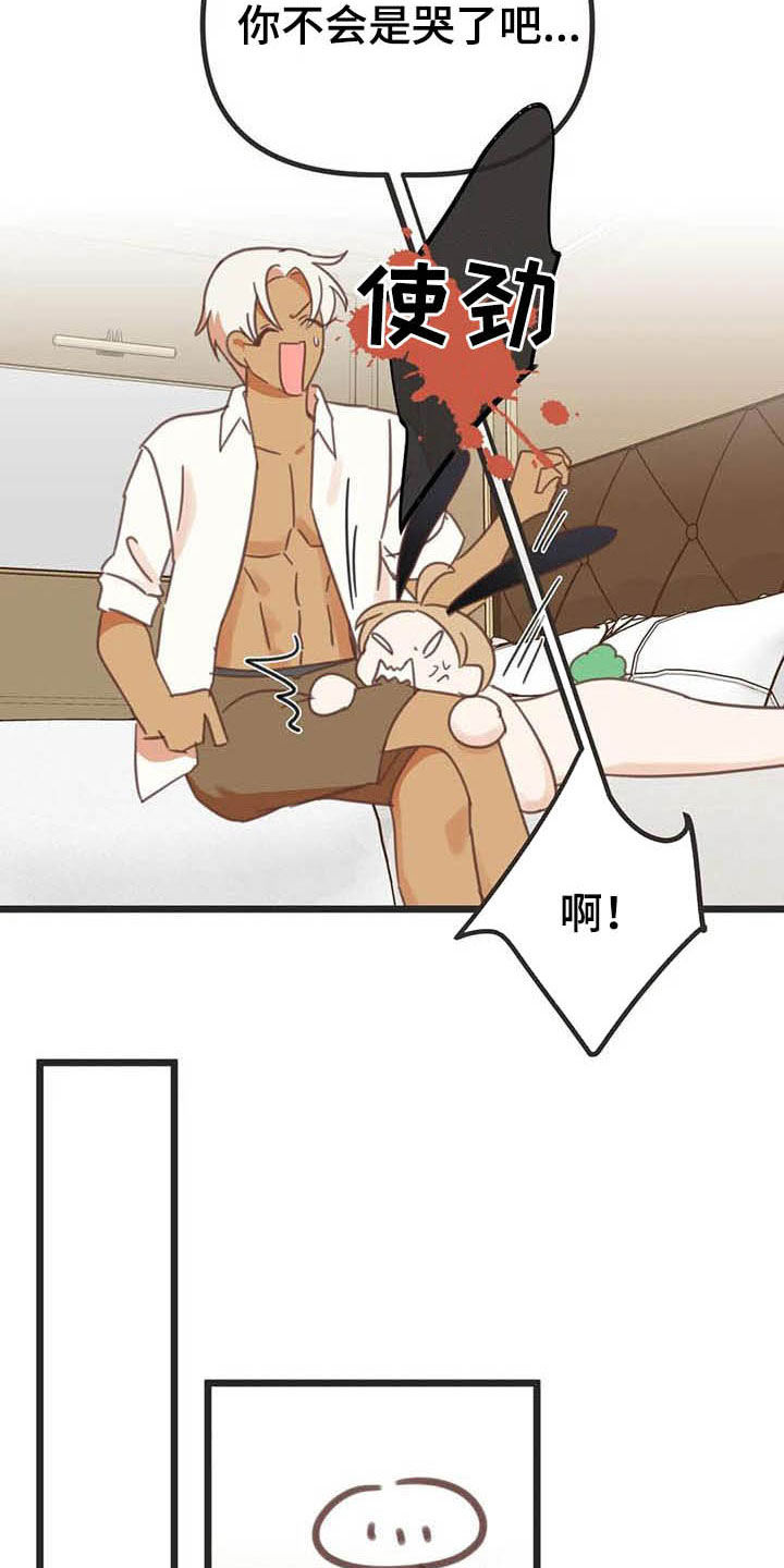 第182章：【番外】笑死了14