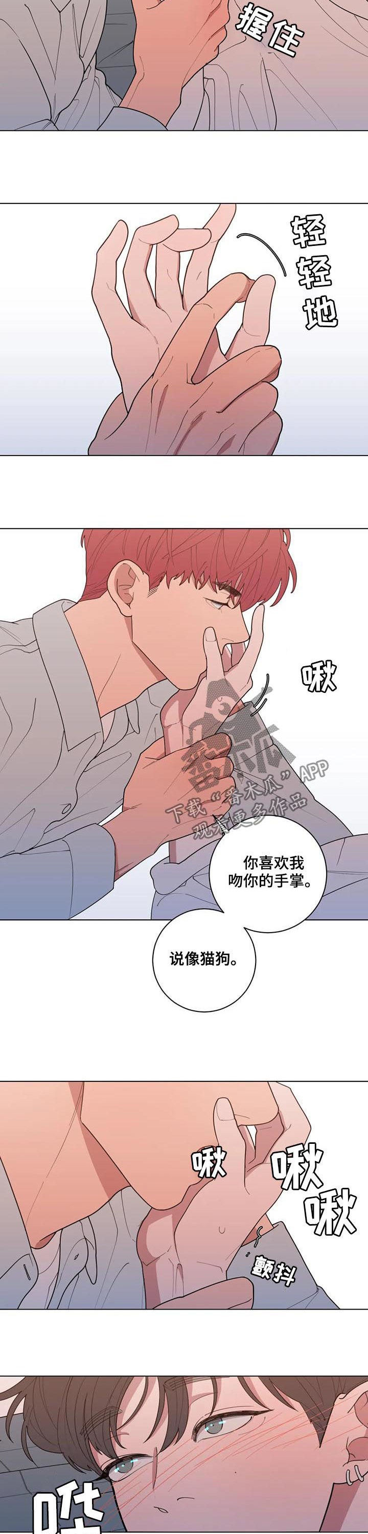 第186章：喜好4