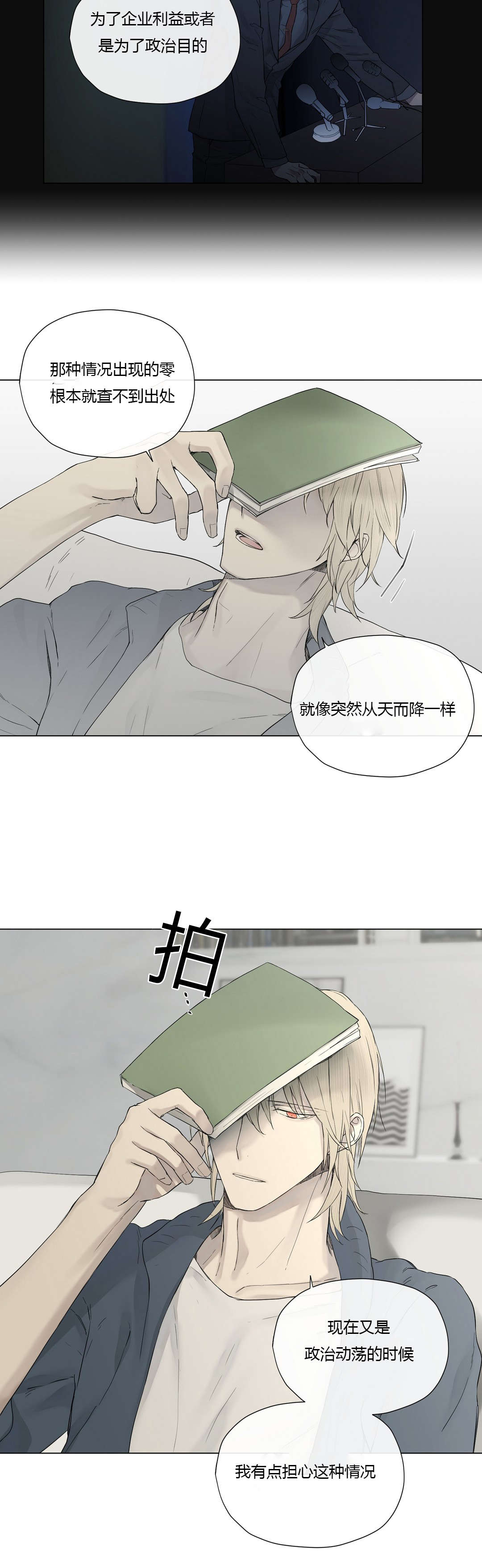 第20章：神秘组织10