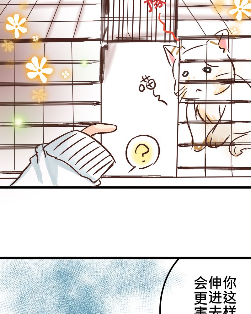 第18章：名为【感情】的花蕾19