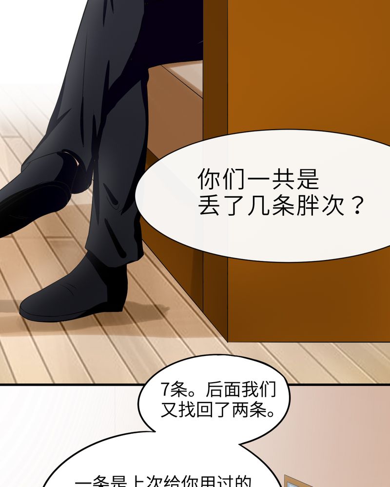 第43章：11