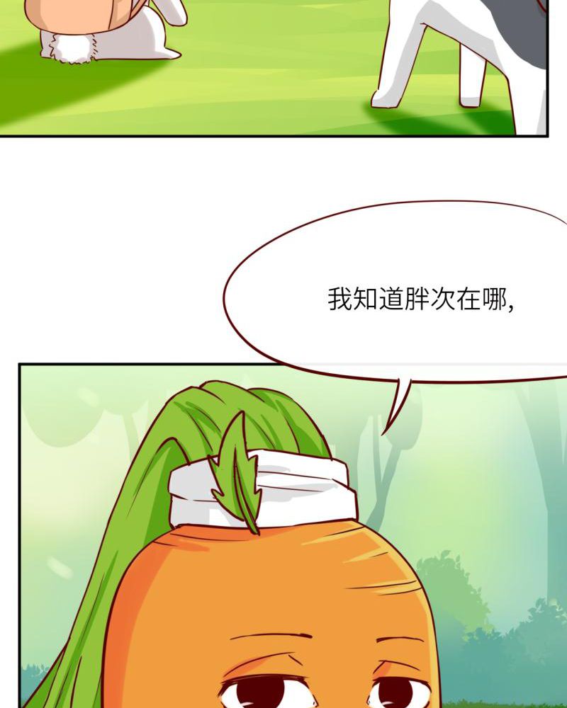第39章：25