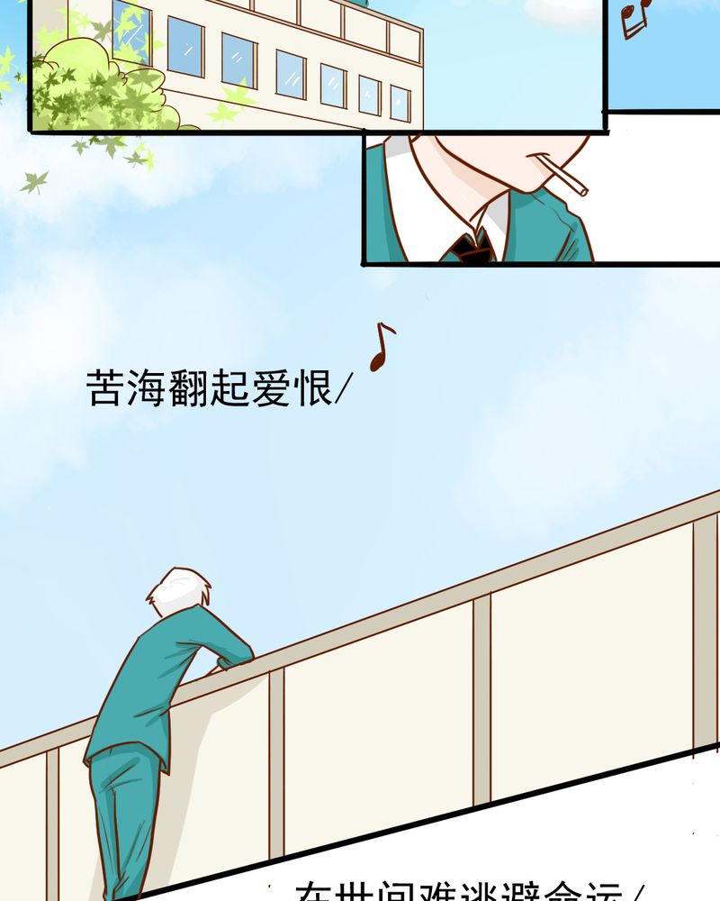 第35章：蝙蝠和猫猫13