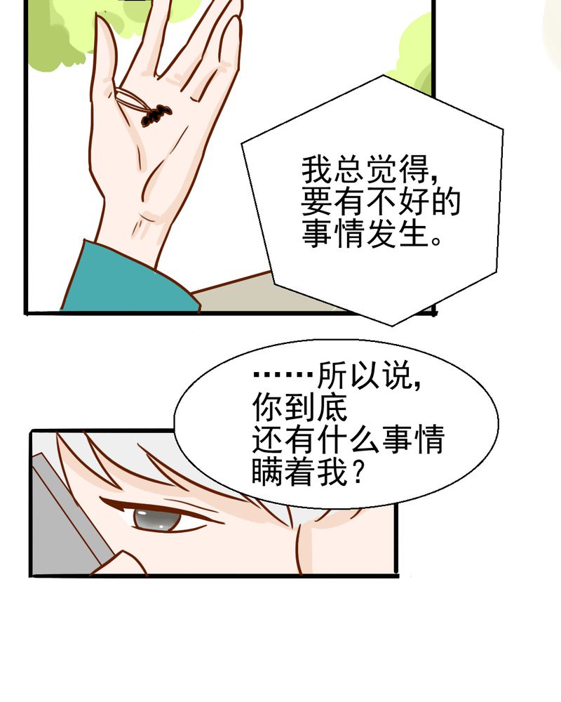 第35章：蝙蝠和猫猫19