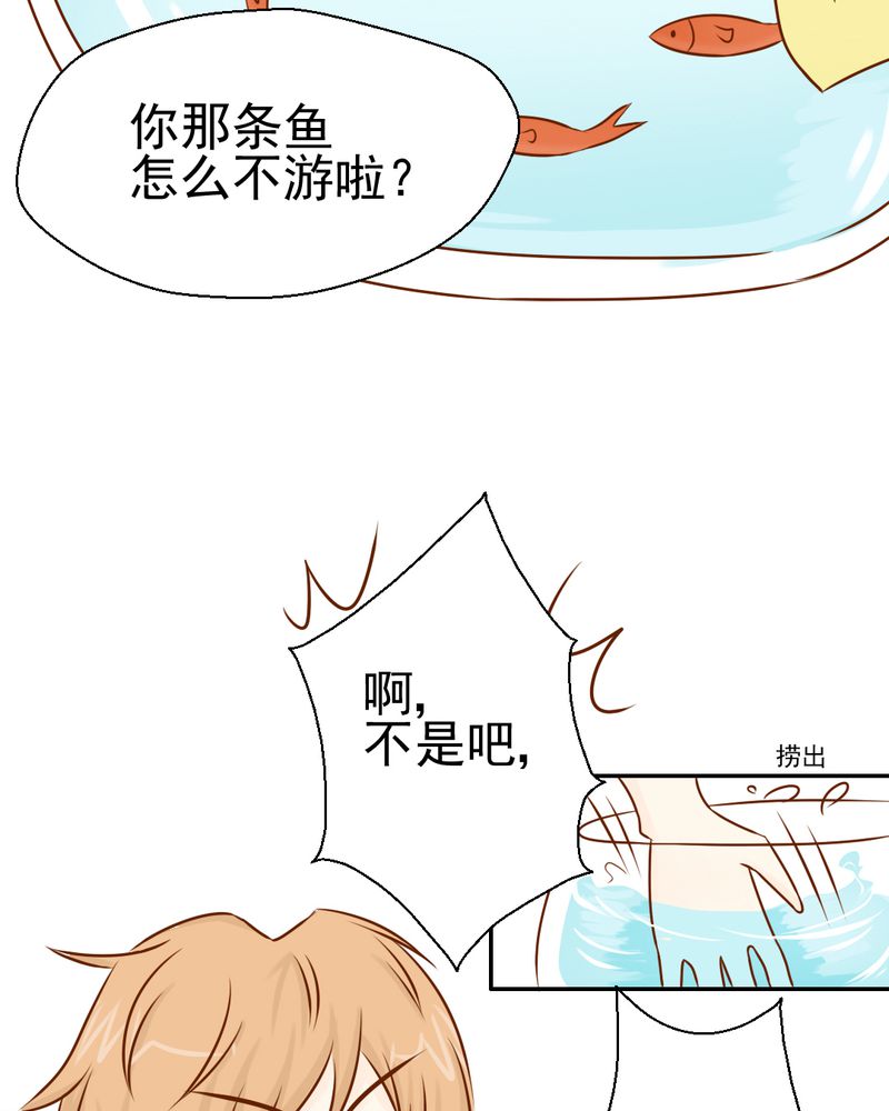 第34章：文浩的生日10
