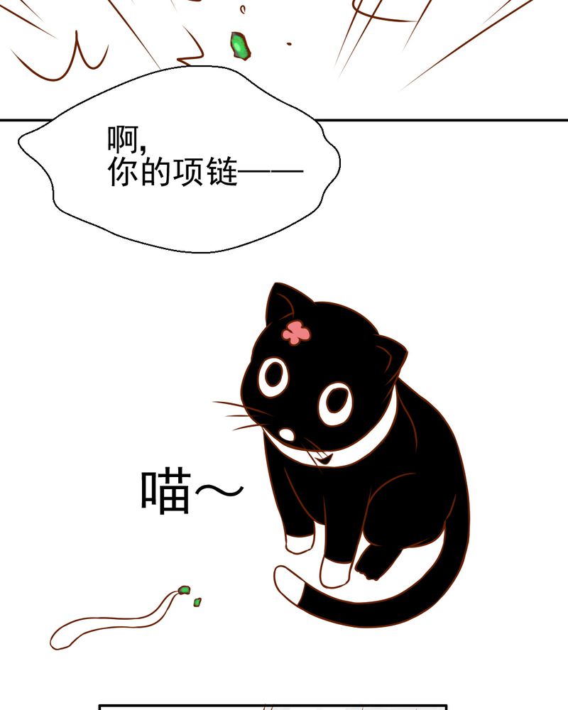 第34章：文浩的生日13