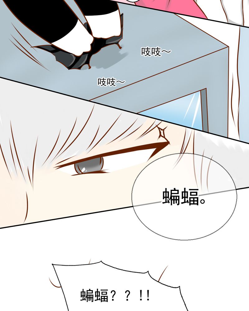 第34章：文浩的生日17