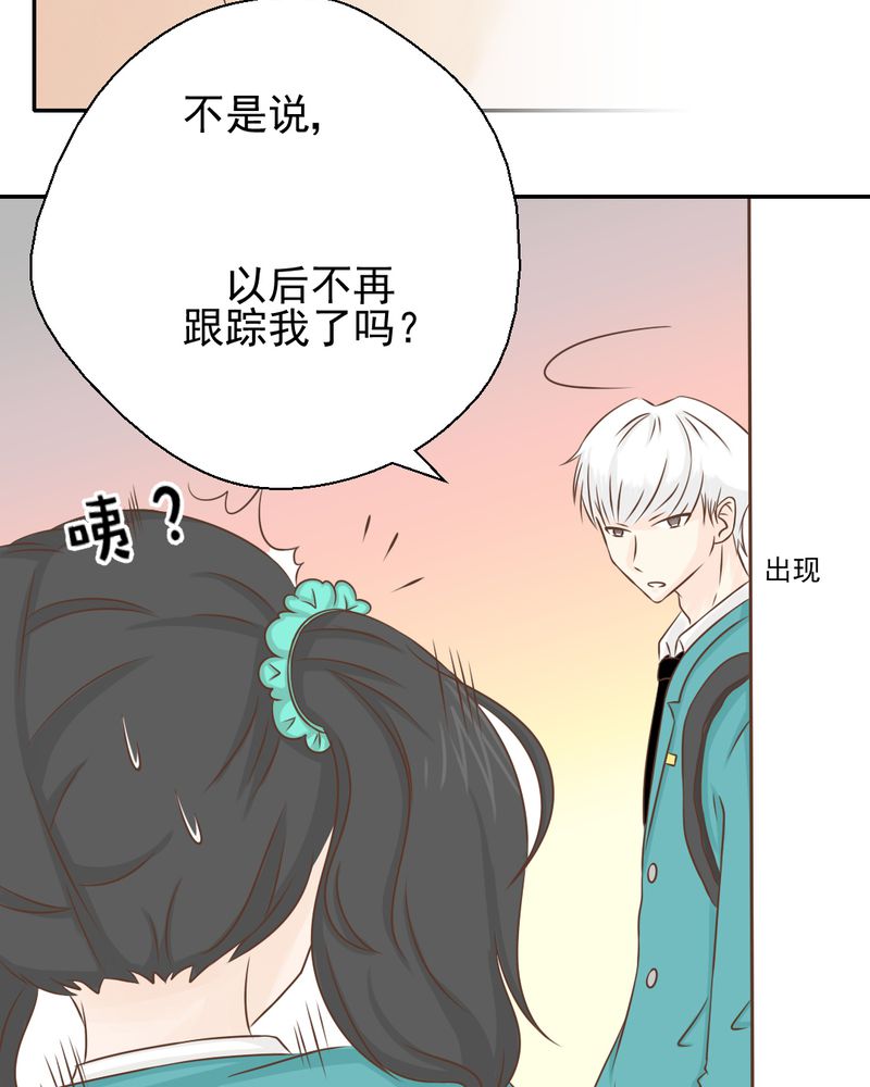第33章：你喜欢我吗13