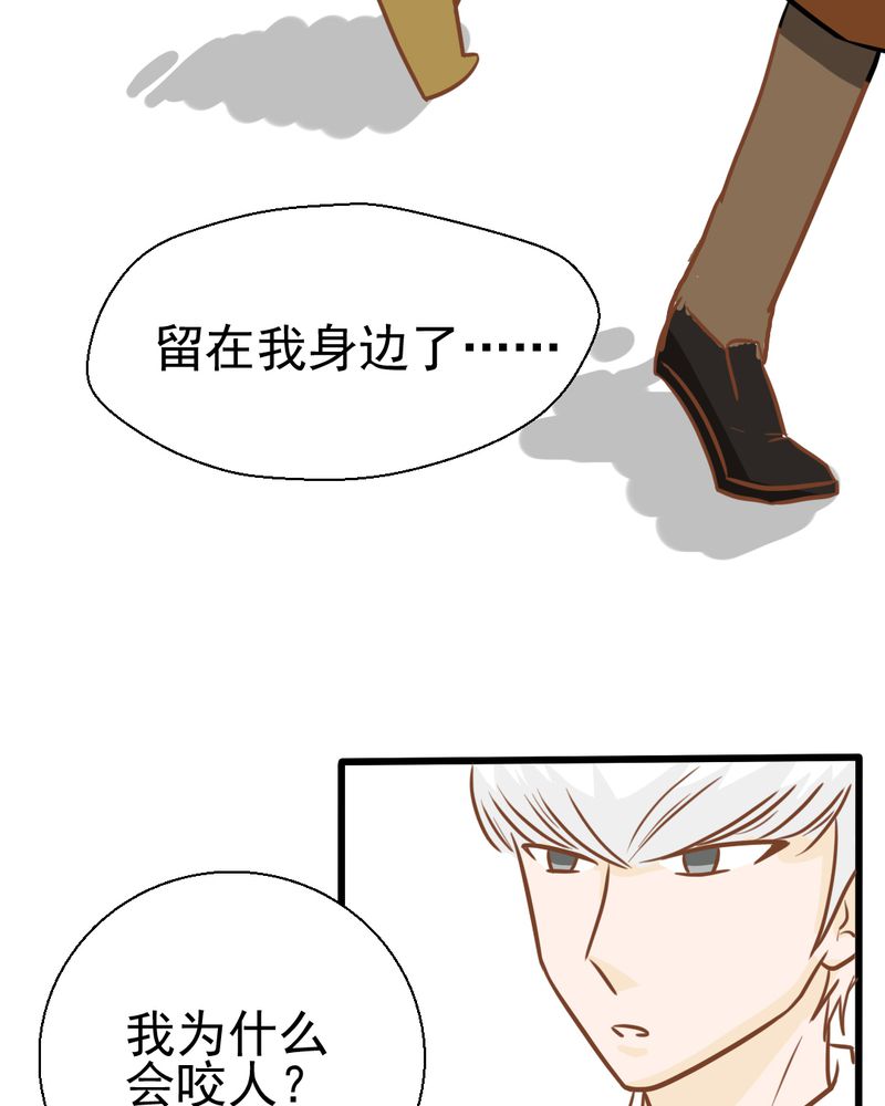 第30章：文浩的身世16