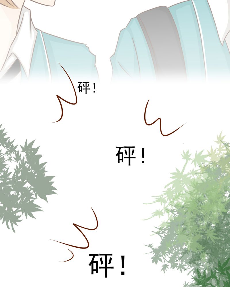 第29章：兄弟14