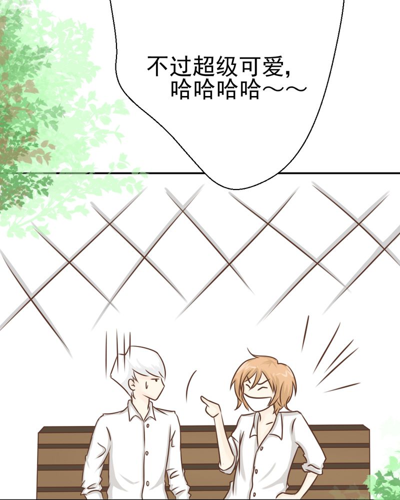 第29章：兄弟30