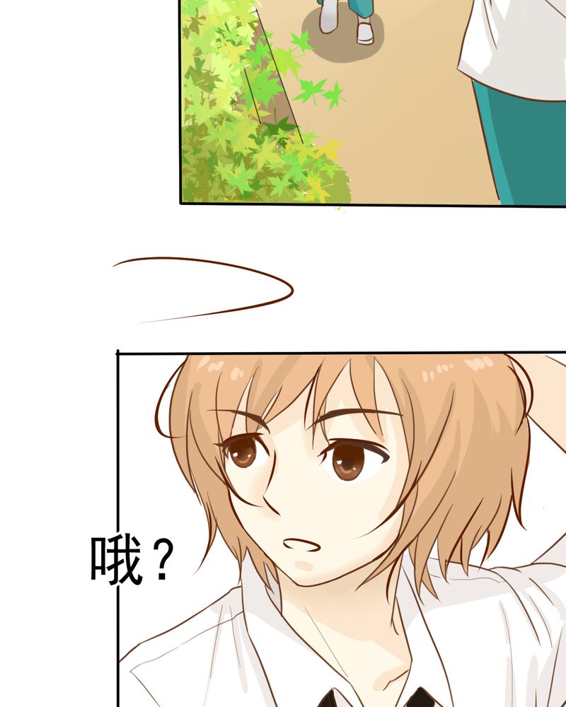 第22章：情商为零没药救27