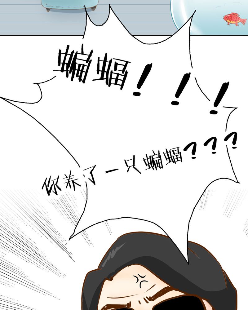 第3章：代号：向阳花23