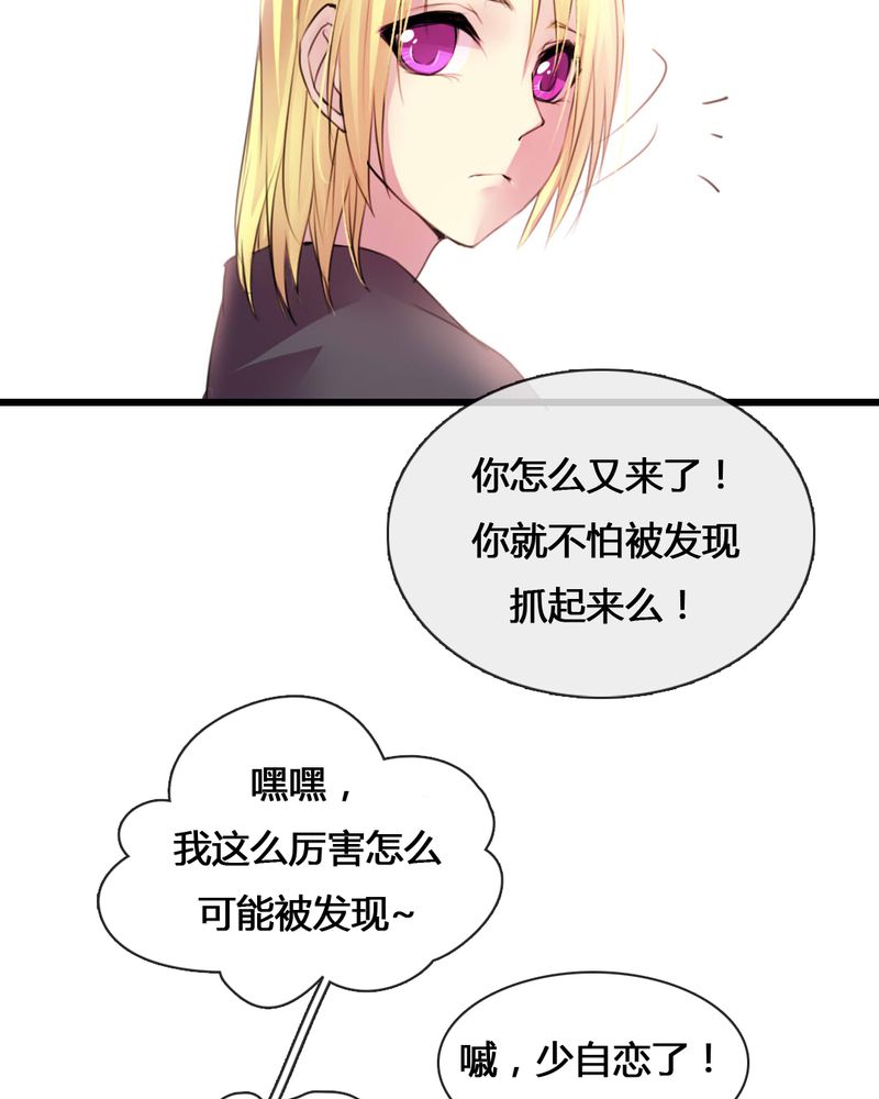 第54章：3