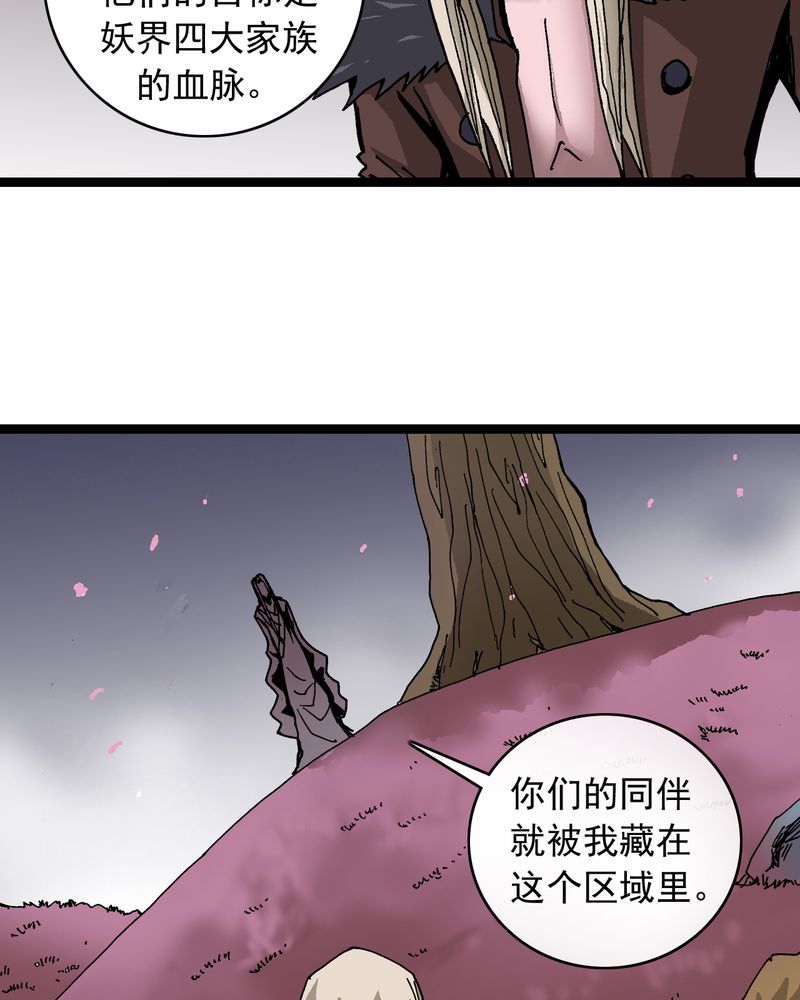 第62章：同伴19