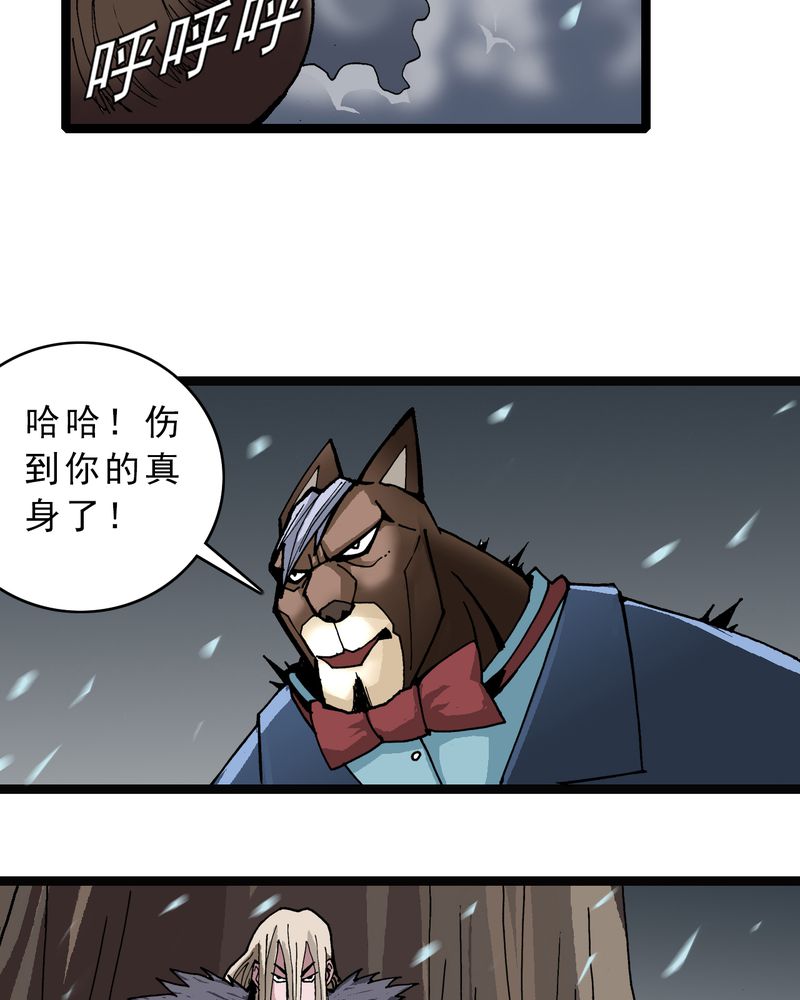 第45章：真实的能力13